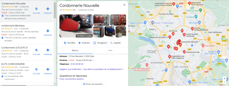 Consultant SEO Dijon - Exemple Fiche GMB Dijon