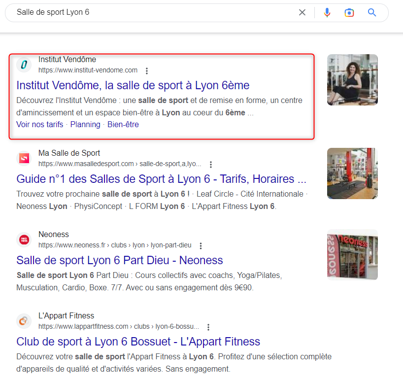 Exemple SEO Lyon 6
