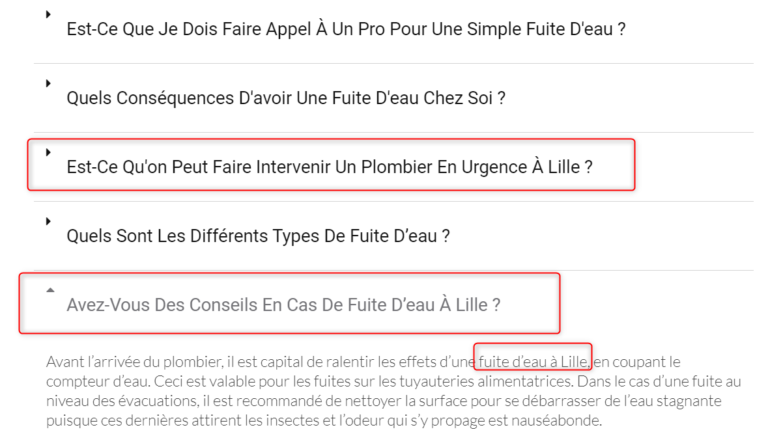 Exemple contenu optimisé SEO Lille - Consultant SEO Lille