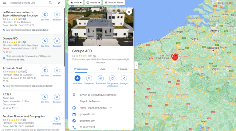Fiche SEO GMB Lille - Exemple Freelance SEO Lille